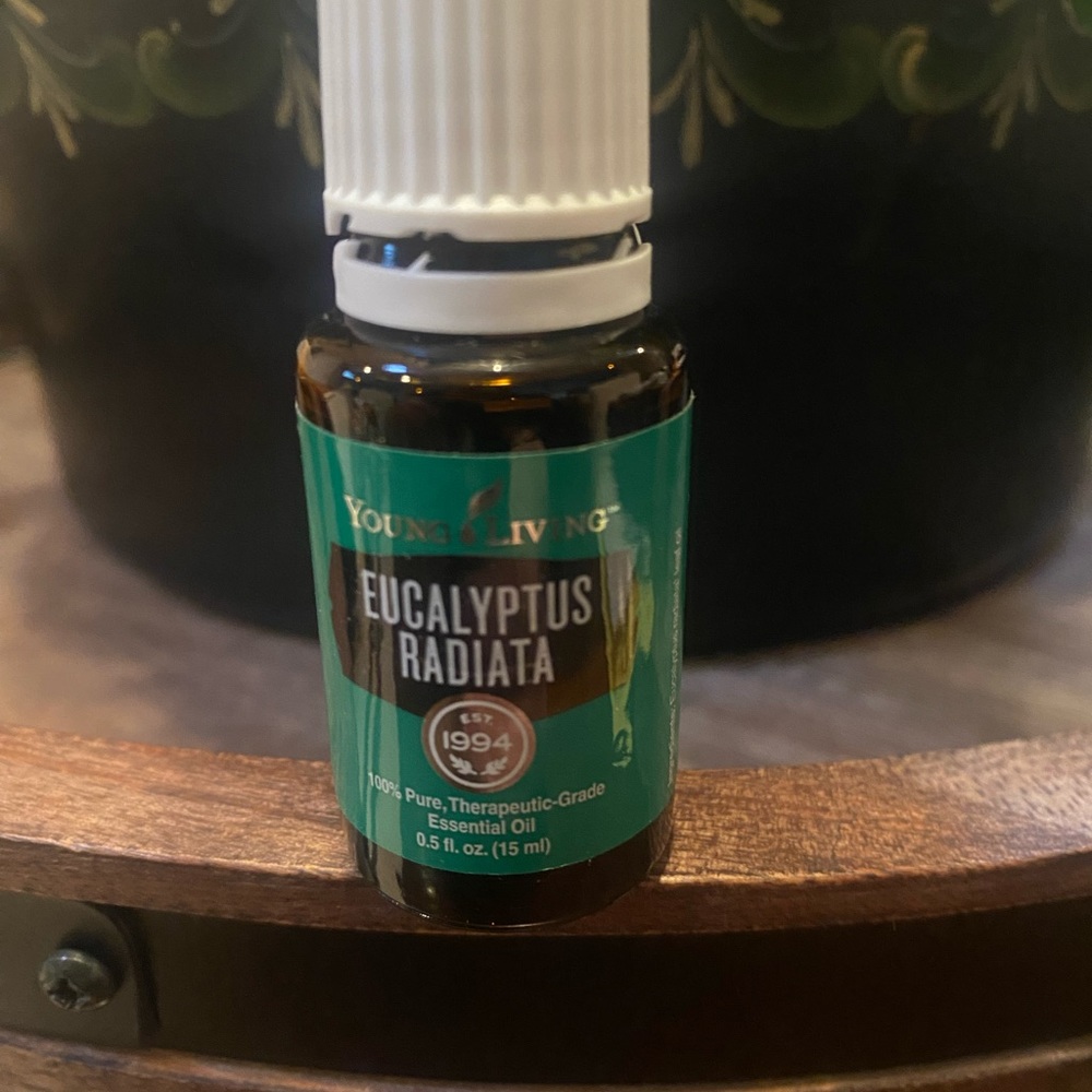 Eucalyptus radiata